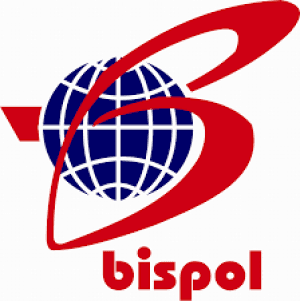 Grupa Bis-Pol