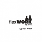 Logo Flex Work